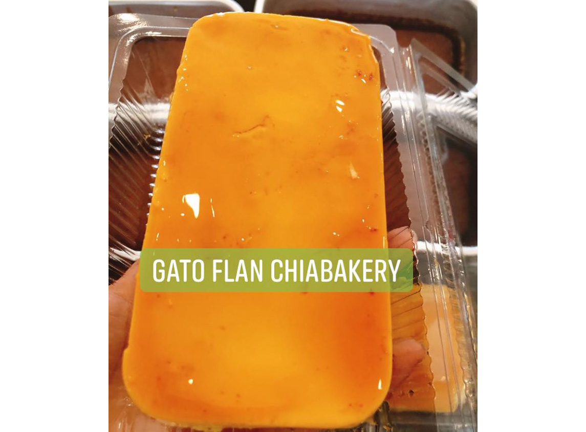 gato Flan