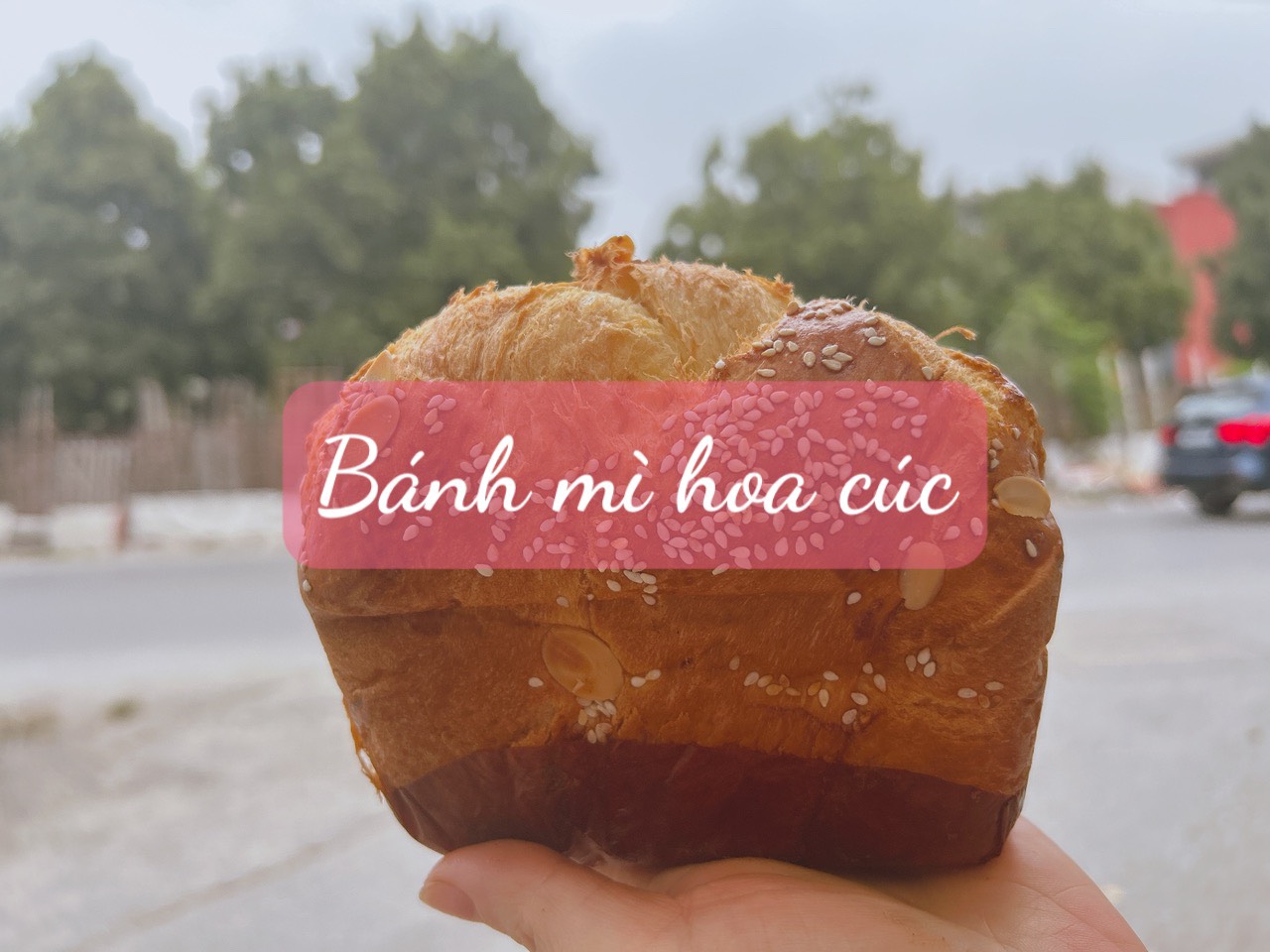 Bánh mì hoa cúc hương cam vani